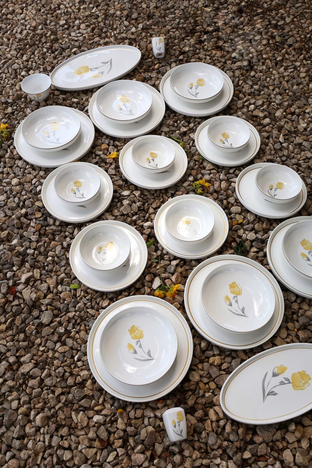 Karolina Flowers 30-Piece Dinner Set